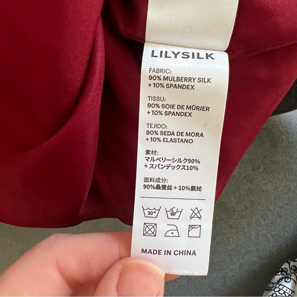 Lilysilk Burgundy Mini Dress - Picture 6 of 6